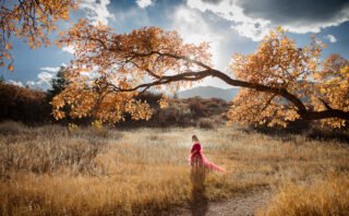 Book Now, Get Entered to Win a Canvas | Colorado Springs Photography